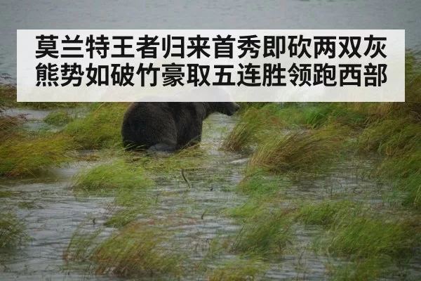 莫兰特王者归来首秀即砍两双灰熊势如破竹豪取五连胜领跑西部