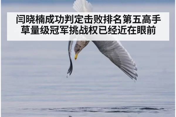 闫晓楠成功判定击败排名第五高手 草量级冠军挑战权已经近在眼前